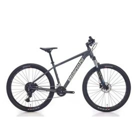 Bianchi Magma 29.1 480H HD 29 Jant 24 Vites Altus Dark Grey Silver Gloss Erkek Dağ Bisikleti