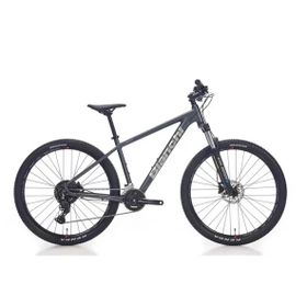 Bianchi Magma 29.1 480H HD 29 Jant 24 Vites Altus Dark Grey Silver Gloss Erkek Dağ Bisikleti