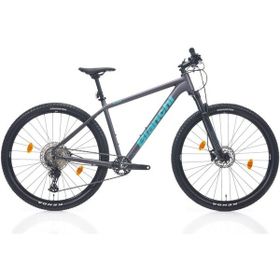 Bianchi Magma Comp 9.S 1x12 Vites 29 Jant 48 cm Gri Dağ Biskleti