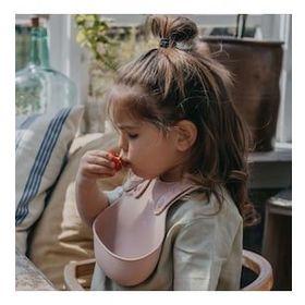 Bibs Blush Dinner Kaşık Seti