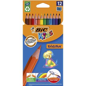 Bic 5709788 Evolution 12'li Kuru Boya Kalem Seti