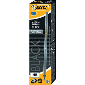Bic Evolution Black 12'li Paket Kurşun Kalem
