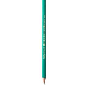 Bic Evolution Kurşun Kalem