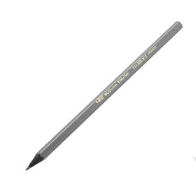 Bic Evolution Siyah Kurşun Kalem