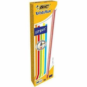 Bic Evolution Stripes 12'li Kuru Boya Kalemi
