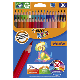 Bic Kids Evolution 36'lı Kuru Boya Kalemi