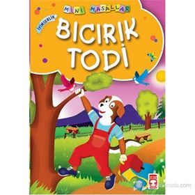 BICIRIK TODI (İYİMSERLİK) - MÜJGAN ŞEYHİ