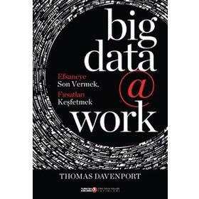 Big Data @ Work - Thomas Davenport