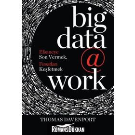 Big Data @ Work - Thomas Davenport