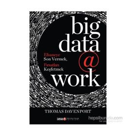 Big Data @ Work - Thomas Davenport