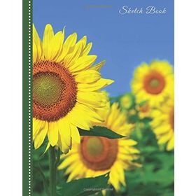 Big Doodling Book