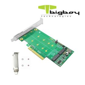 Bigboy BTC-M2G4X2 PCIe Gen 4.0 x4 PCIe 4.0 x8 2xM.2 NVMe Çevirici Ünite