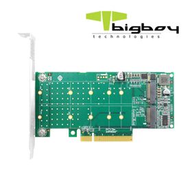 Bigboy BTC-M2G4X2 PCIe Gen 4.0 x4 PCIe 4.0 x8 2xM.2 NVMe Çevirici Ünite