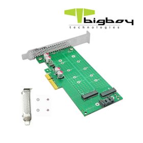 Bigboy BTC-M2G4X2SN PCIe Gen 4.0 x4 PCIe 4.0 x8 1xM.2 NVMe+1xM.2 Sata Çevirici Ünite