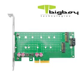 Bigboy BTC-M2G4X2SN PCIe Gen 4.0 x4 PCIe 4.0 x8 1xM.2 NVMe+1xM.2 Sata Çevirici Ünite