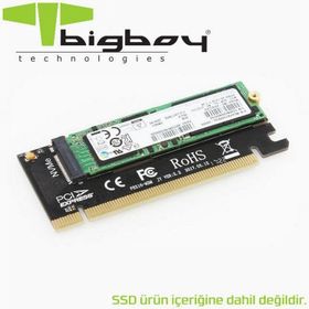 Bigboy BTC-M2NV161U PCIe 3.0 x16 PCIe NVMe M.2 1U Server Çevirici Ünite