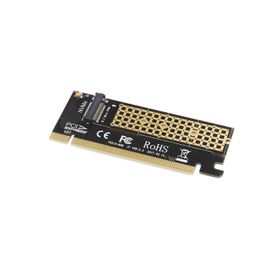 Bigboy BTC-M2NV161U PCIe 3.0 x16 PCIe NVMe M.2 1U Server Çevirici Ünite