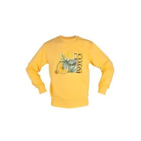 Biggdesign Nature Boğazda Bisiklet Erkek Sweatshirt