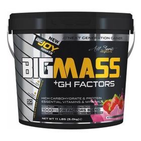 Bigjoy 5 kg Sports Bigmass Gh Factors Çilek Gainer