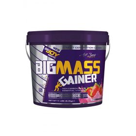 Bigjoy 5 kg Sports Bigmass Gh Factors Çilek Gainer