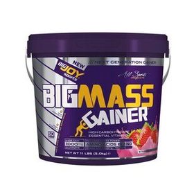Bigjoy 5 kg Sports Bigmass Gh Factors Çilek Gainer