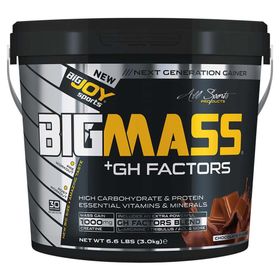 Bigjoy Big Mass 3000 Gr Çikolata Gh Factors