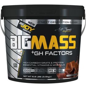 Bigjoy Big Mass 3000 Gr Çikolata Gh Factors