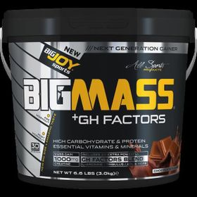 Bigjoy Big Mass 3000 Gr Çikolata Gh Factors