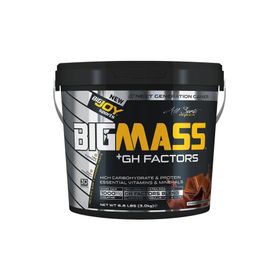 Bigjoy Big Mass 3000 Gr Çikolata Gh Factors