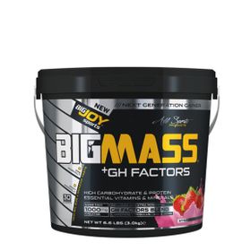 Bigjoy Big Mass 3000 gr GH Factors Karbonhidrat Tozu