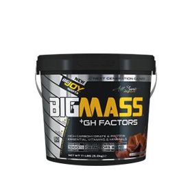 Bigjoy Big Mass 5000 gr GH Factors Karbonhidrat Tozu