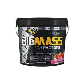 Bigjoy Bigmass Gainer Gh Factors 5000 gr Karbonhidrat Çilekli