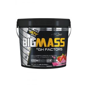 Bigjoy Bigmass Gainer Gh Factors 5000 gr Karbonhidrat Çilekli