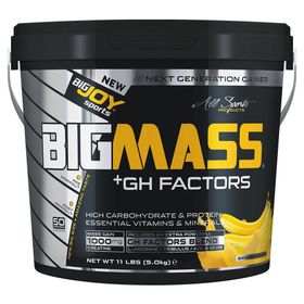 Bigjoy Bigmass Gainer Gh Factors 5000 gr Karbonhidrat Muzlu