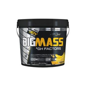 Bigjoy Bigmass Gainer Gh Factors 5000 gr Karbonhidrat Muzlu