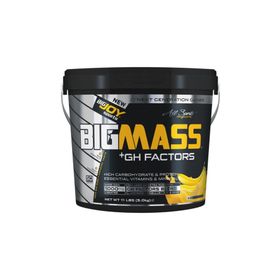 Bigjoy Bigmass Gainer Gh Factors 5000 gr Karbonhidrat Muzlu