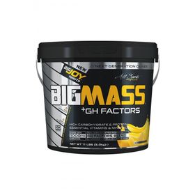Bigjoy Bigmass Gainer Gh Factors 5000 gr Karbonhidrat Muzlu