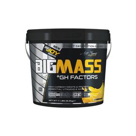 Bigjoy Bigmass Gainer Gh Factors 5000 gr Karbonhidrat Muzlu