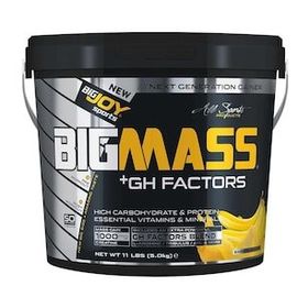 Bigjoy Bigmass Gainer Gh Factors 5000 gr Karbonhidrat Muzlu