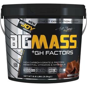 BigJoy Bigmass GH Factors 3 kg Çikolata Gainer