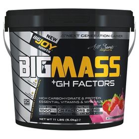 BigJoy Bigmass GH Factors 5000 gr Çilek Aromalı Karbonhidrat Tozu
