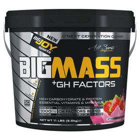 BigJoy Bigmass GH Factors 5000 gr Çilek Aromalı Karbonhidrat Tozu