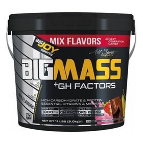 BigJoy Bigmass GH Factors Mix Flavors 5 kg Çikolata Çilek ve Bisküvili Protein Tozu