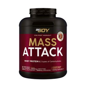 BigJoy Mass Attack 3000 gr Gainer Whey Çikolata Protein Tozu