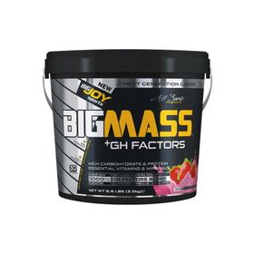 BigJoy Sports 3000 gr Çilek Aromalı Big Mass Gh Factors