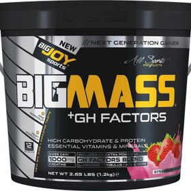 BigJoy Sports Big Mass Gh Factors 1,2 kg Çilekli Gainer