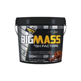 Bigjoy Sports Bigjoy Bigmass Gh Factors Karbonhidrat Tozu 3000 gr Çikolata Aromalı