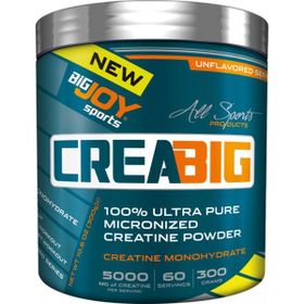 BigJoy Sports Bigjoy Crea Big Micronized Creatine Powder Ananas 300 gr Saf Kreatin