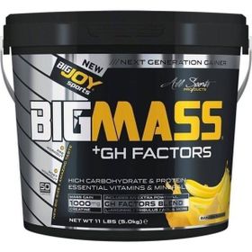 BigJoy Sports Bigmass 5000 gr Gainer Çikolata Aromalı Karbonhidrat Tozu