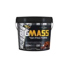 BigJoy Sports BIGMASS Gainer Çikolata-Çilek 5000 gr Protein